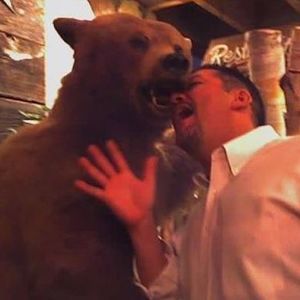 Meet your Posher, Don